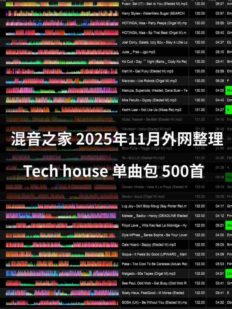 混音之家2025年11月外网整理 tech house 500首专业dj打碟音乐包